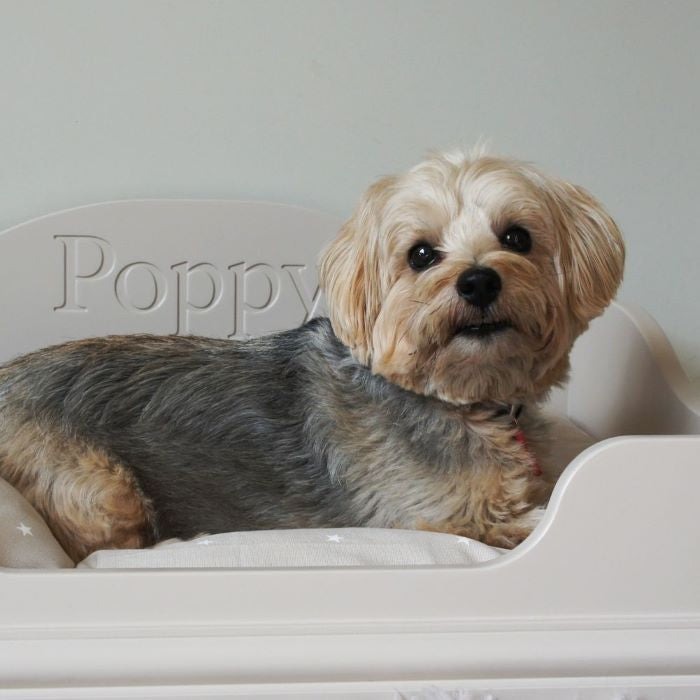 Pet Bed with Personalised Engraving.