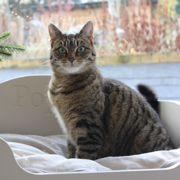 Pet Bed with Personalised Engraving.