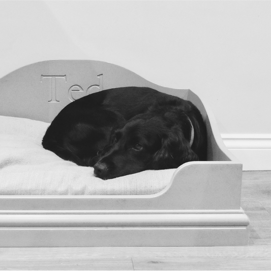 Pet Bed with Personalised Engraving.